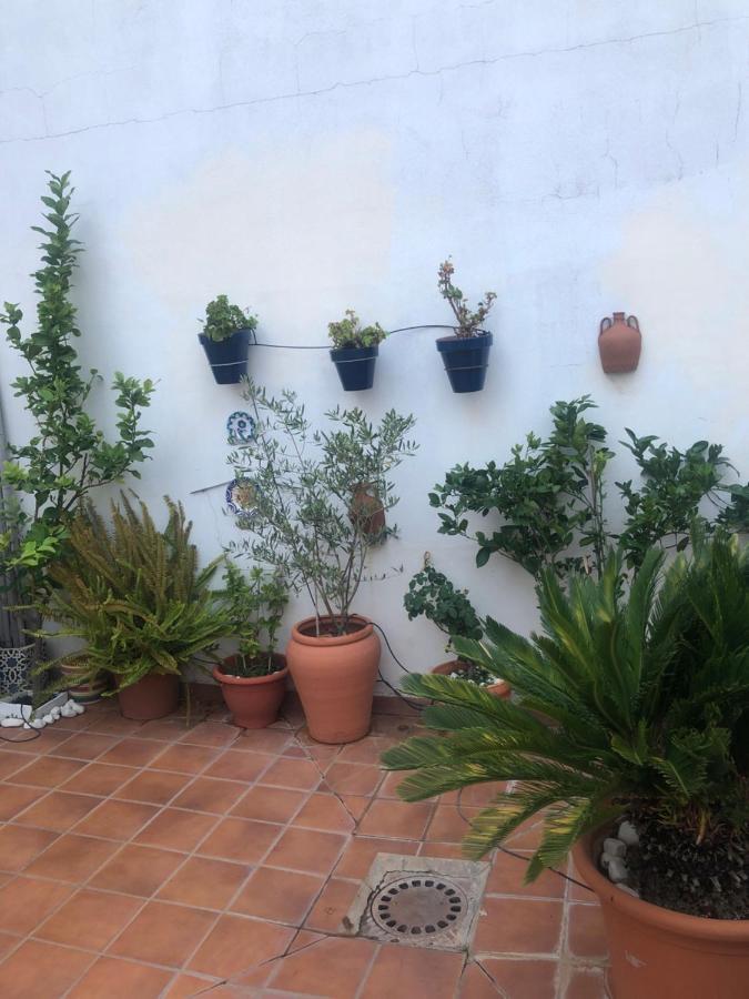 Hébergement de vacances Acogedora Casa De Pueblo Con Piscina *